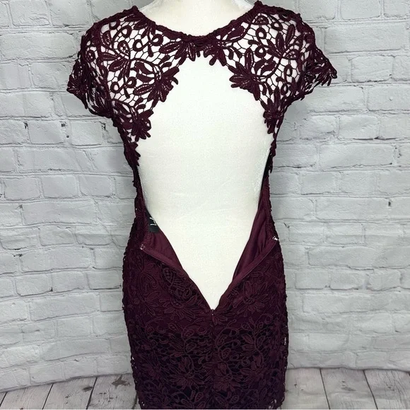 lulus backless lace dress Lulus Romantic Intentions Blush Lace Pleated Backless Dress, Size Medi   Vanessa Jane